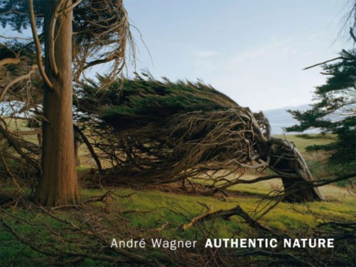 AUTHENTIC NATURE (ENGLISCH, DEUTSCH) GEBUNDENE AUSGABE (2008)