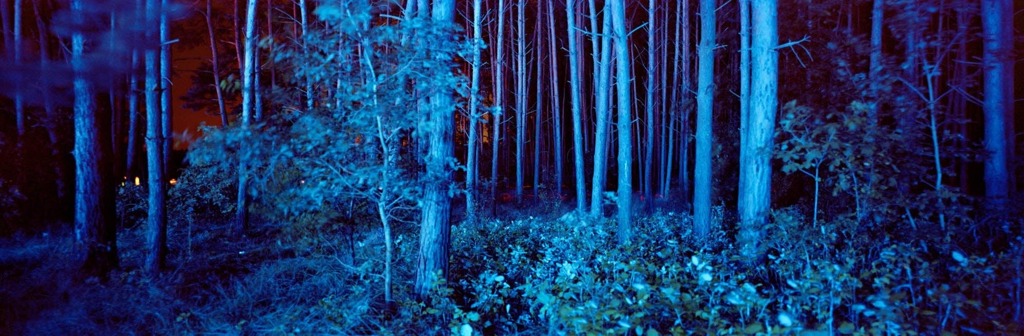 BLUE FOREST, DEUTSCHLAND