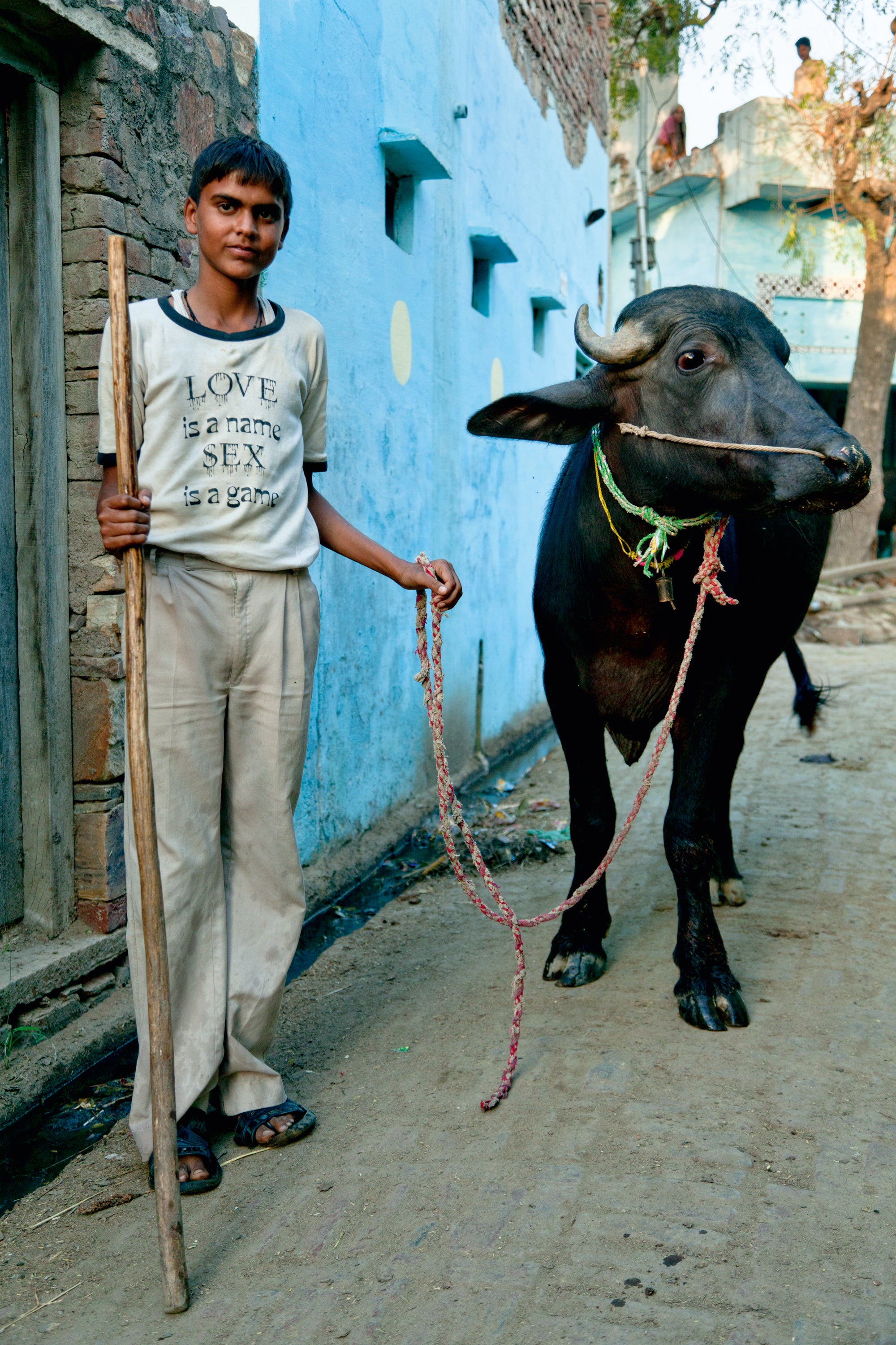 Cowherd boy with water buffalo in Uttar Pradesh #8/8